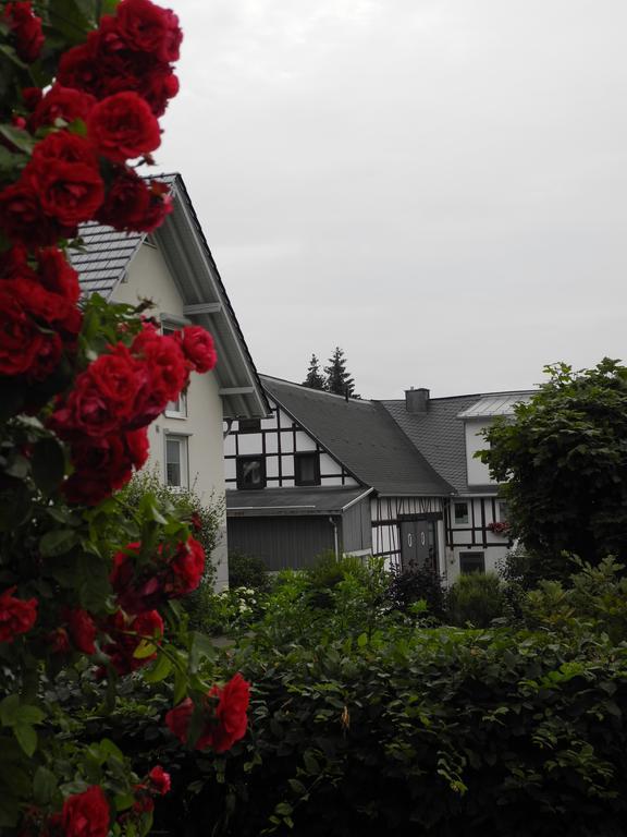 Wilkenhof Apartment Willingen  Bagian luar foto