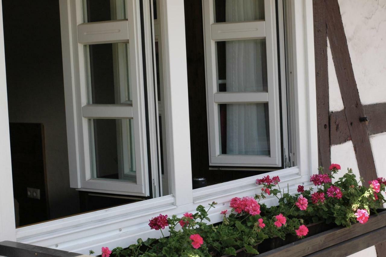 Wilkenhof Apartment Willingen  Bagian luar foto