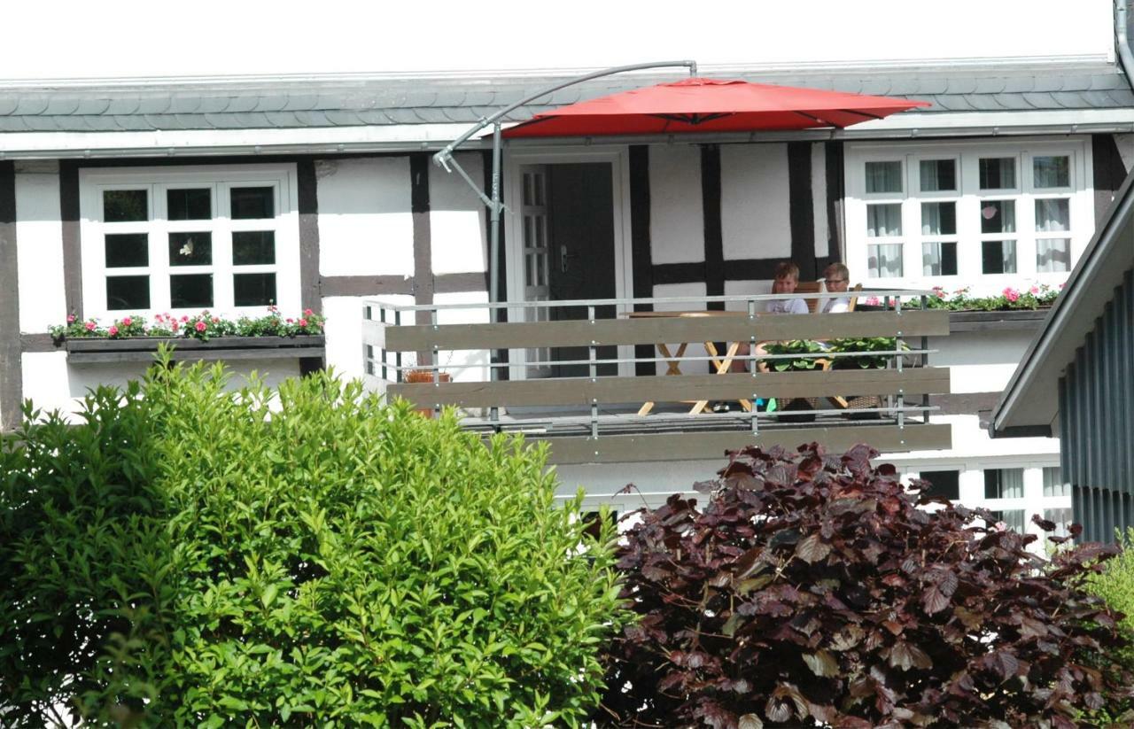 Wilkenhof Apartment Willingen  Bagian luar foto